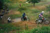 farleigh1996a.jpg (42127 tavu(a))